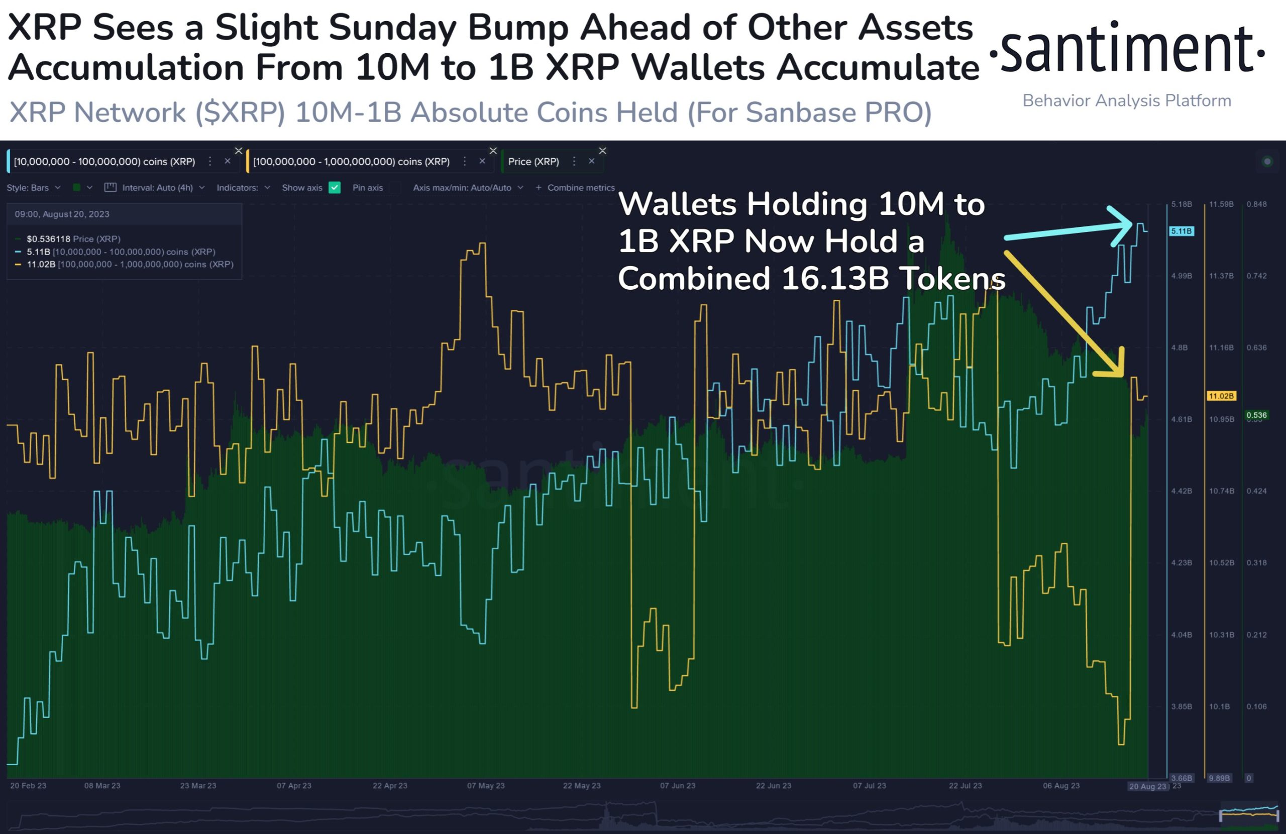 XRP Whales