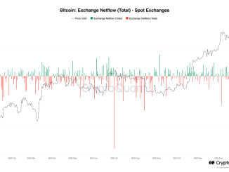 Bitcoin exchange netflow