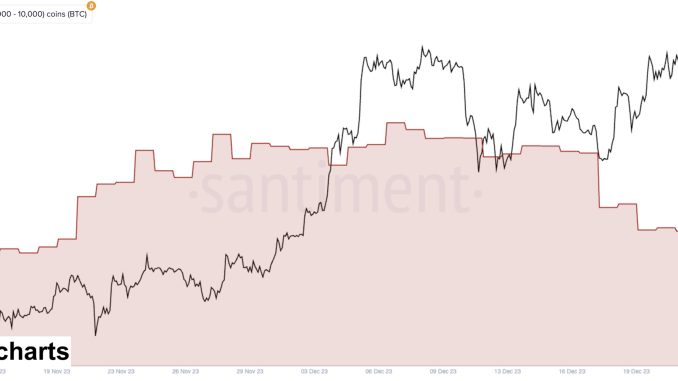 Bitcoin Whale Supply