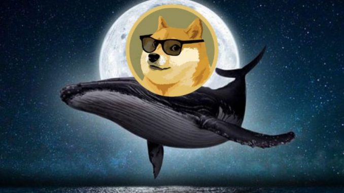 Dogecoin whale