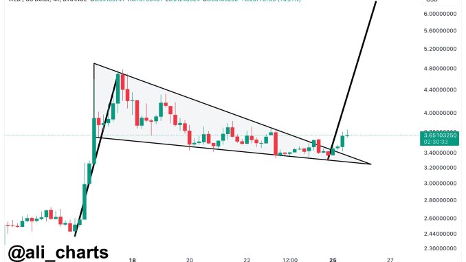 Worldcoin Bull Flag