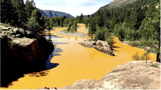 The Environmental Cost of Gold Mining