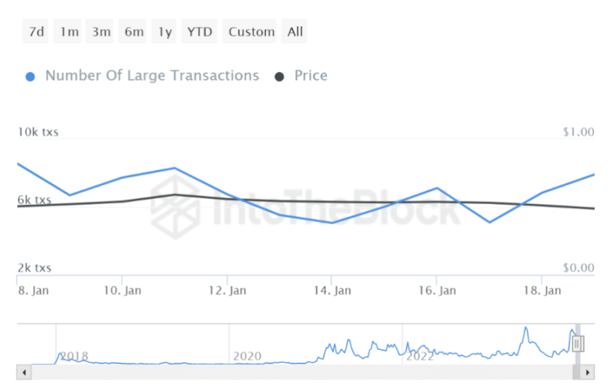 Whales Go Wild: Cardano Transactions Surge 11%